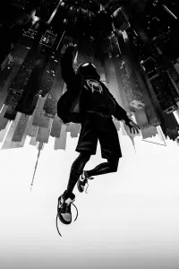 Poster to the movie "Spider-Man: Into the Spider-Verse" #200812