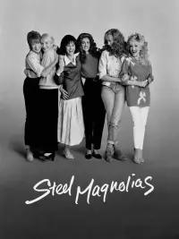 Poster to the movie "Steel Magnolias" #620281