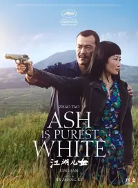 Poster to the movie "Ash Is Purest White" #355124