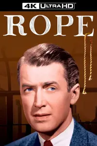 Poster to the movie "Rope" #181099