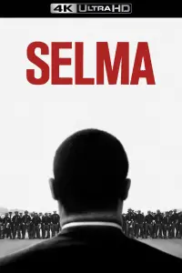 Poster to the movie "Selma" #138878