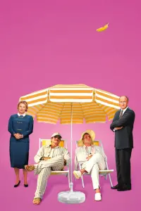 Poster to the movie "The Birdcage" #244611