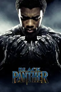 Poster to the movie "Black Panther" #219978