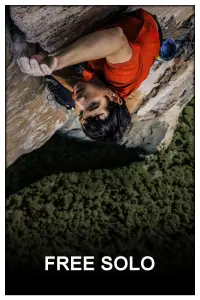 Poster to the movie "Free Solo" #379905