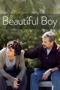 Poster to the movie "Beautiful Boy" #98529