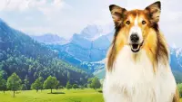 Backdrop to the movie "Lassie: A New Adventure" #196151