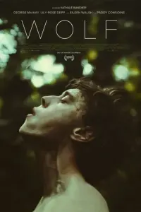 Poster to the movie "Wolf" #315313