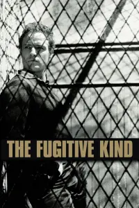 Poster to the movie "The Fugitive Kind" #159485