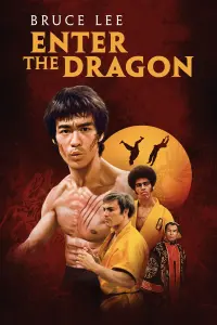 Poster to the movie "Enter the Dragon" #65978