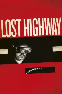 Poster to the movie "Lost Highway" #368474