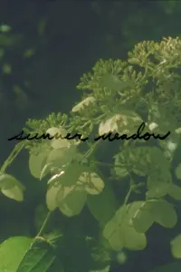 Poster to the movie "Summer Meadow" #460571