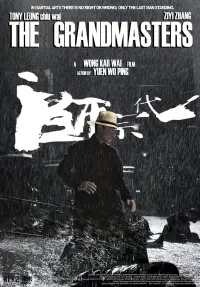 Poster to the movie "The Grandmaster" #275677