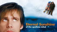 Backdrop to the movie "Eternal Sunshine of the Spotless Mind" #155545