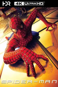 Poster to the movie "Spider-Man" #16799