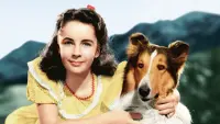 Backdrop to the movie "Courage of Lassie" #490537