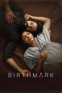 Poster to the movie "Birthmark" #365519