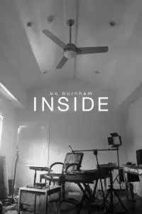 Poster to the movie "Bo Burnham: Inside" #407482