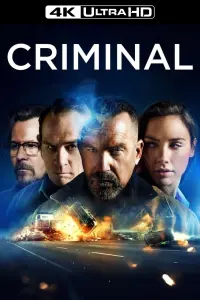 Poster to the movie "Criminal" #298746