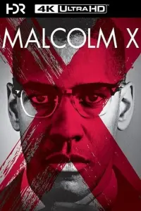 Poster to the movie "Malcolm X" #112589