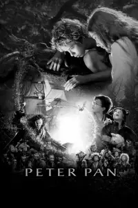 Poster to the movie "Peter Pan" #532075