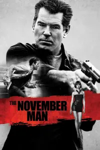 Poster to the movie "The November Man" #113531