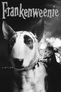 Poster to the movie "Frankenweenie" #254680