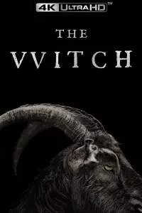 Poster to the movie "The Witch" #66182