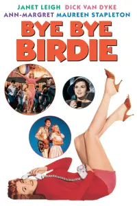 Poster to the movie "Bye Bye Birdie" #157888