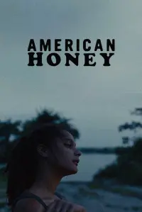 Poster to the movie "American Honey" #261741