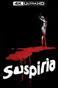 Poster to the movie "Suspiria" #69640