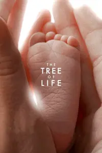 Poster to the movie "The Tree of Life" #118880