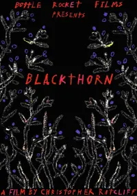 Poster to the movie "Blackthorn" #435446