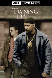 Poster to the movie "Training Day" #211507