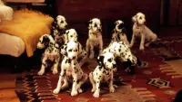 Backdrop to the movie "101 Dalmatians" #322359