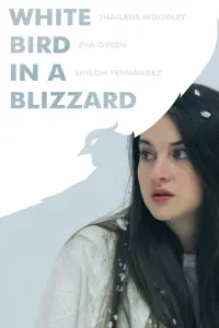 Poster to the movie "White Bird in a Blizzard" #524349