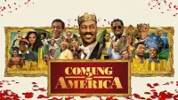 Backdrop to the movie "Coming 2 America" #287601