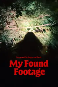 Poster to the movie "My Found Footage" #620298