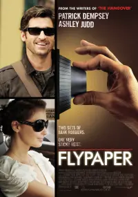 Poster to the movie "Flypaper" #152949