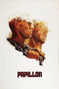 Poster to the movie "Papillon" #110656