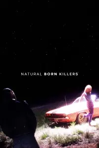 Poster to the movie "Natural Born Killers" #544639