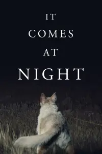 Poster to the movie "It Comes at Night" #135371