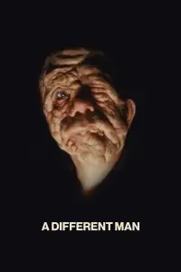 Poster to the movie "A Different Man" #196458