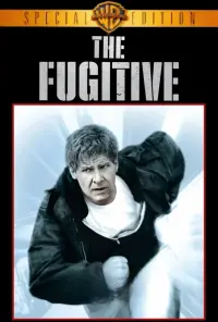 Poster to the movie "The Fugitive" #70099