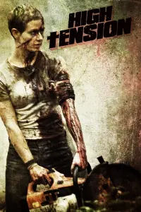 Poster to the movie "High Tension" #107189