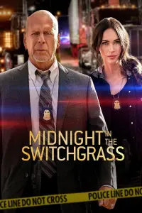 Poster to the movie "Midnight in the Switchgrass" #108700