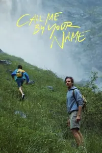 Poster to the movie "Call Me by Your Name" #37243