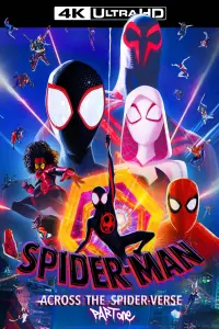 Poster to the movie "Spider-Man: Across the Spider-Verse" #3202