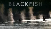 Backdrop to the movie "Blackfish" #155015