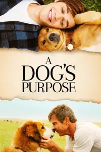 Poster to the movie "A Dog