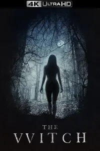 Poster to the movie "The Witch" #66189